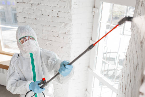 Best Indoor Air Quality Assessment  in Poinciana, FL