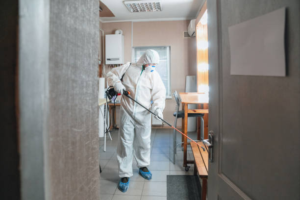 Best Mold Damage Restoration  in Poinciana, FL
