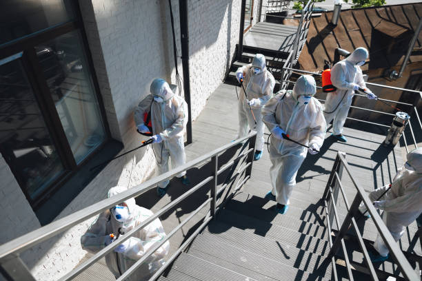 Best Mold Remediation for Healthcare Facilities  in Poinciana, FL
