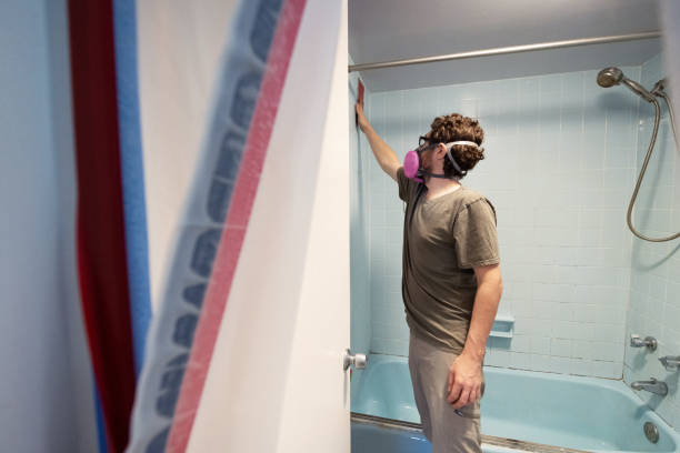 Best Black Mold Removal  in Poinciana, FL