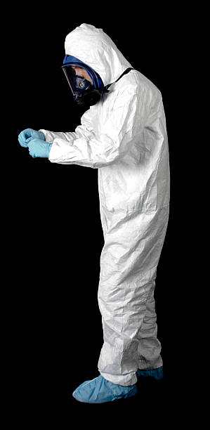 Professional Mold Removal in Poinciana, FL