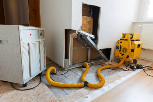 Best Mold Removal for HVAC Installations  in Poinciana, FL